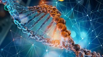 Massive Genetic Study Reveals Complex Links Between DNA and Personality Traits