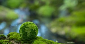 UN Calls for Urgent Carbon Emission Reductions to Combat Climate Change