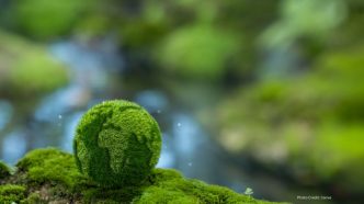UN Calls for Urgent Carbon Emission Reductions to Combat Climate Change