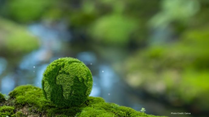 UN Calls for Urgent Carbon Emission Reductions to Combat Climate Change