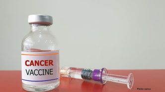 Personalized Cancer Vaccine Reduces Melanoma Recurrence Risk in Major Clinical Trial