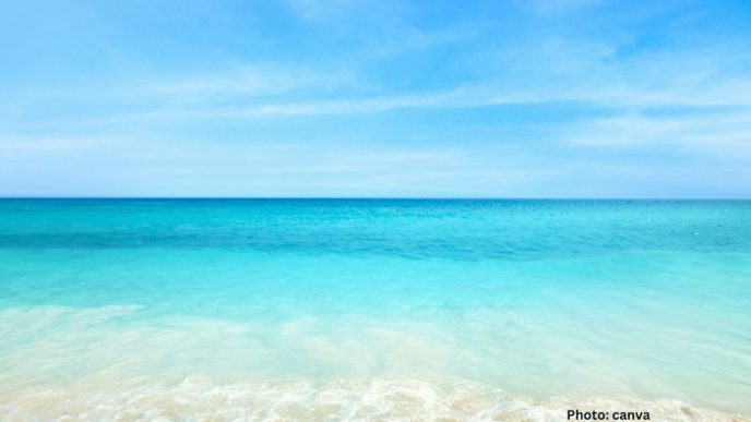 Understanding the Differences Between Seas and Oceans