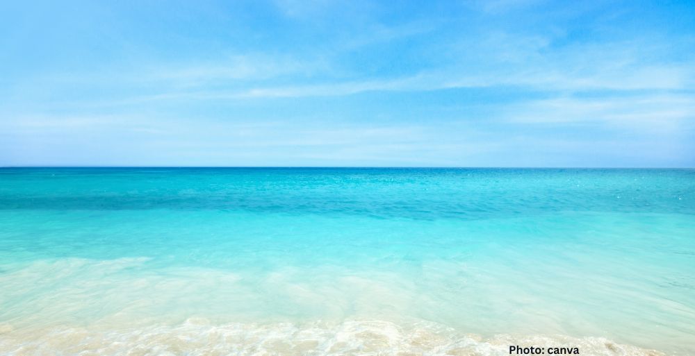 Understanding the Differences Between Seas and Oceans