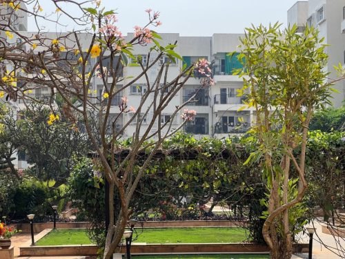 Bangalore Property For Sale John Thomas 5