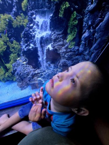 Raising Rainbows Story 1 20